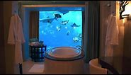 Check Out This Hotel Room's Crazy View Into a 3 Million Gallon Aquarium!