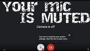 How to solve your mic is muted by your system settings