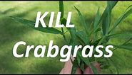 THE CRABGRASS CONTROL VIDEO - Pre and Post Emergent