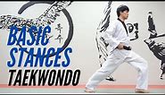 Taekwondo Basic Stances