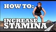 3 Exercises to Increase STAMINA - Endurance for a Fight