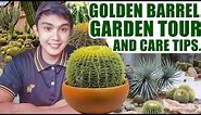 Care Tips for Golden Barrel Cactus | Repotting | Garden Tour