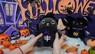 Black Cat Plush Halloween Stuffed Animal, Skeleton Black Cat Witch Plush Cute Witch Cat Plush, Halloween Plush Toy for Kids Halloween Decoration（ Witch Black Cat, 10.5inch）