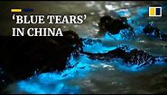 China’s luminous ‘blue tears’ are actually a tip-off to unhealthy oceans