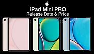 iPad Mini Pro Release Date and Price – Two New Models?
