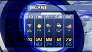 Weather Forecast | Broadcast News Pack