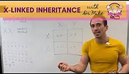 X-linked Inheritance and Punnett Squares