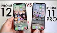 iPhone 12 Vs iPhone 11 Pro In 2023! (Comparison) (Review)