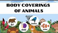 Body Coverings of Animals || Science Lesson for Kids