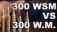 300 WSM vs 300 Winchester Magnum