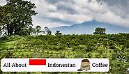 Everything About Indonesian Coffee | The 9 Best Indonesian Coffee Beans