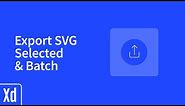 Export SVG in Adobe XD - Selected & Batch - Learn in minutes