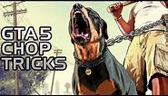 GTA 5: Teach Chop Tricks Walkthrough