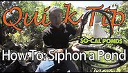 Quick Tip: How to Siphon a Pond