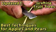 The BEST GRAFTING techniques for APPLES, PEARS and other fruit trees | Update