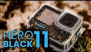 ULTIMATE Setup Guide - GoPro HERO 11 Black (Video Settings)
