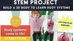 Human Body Systems STEM Project