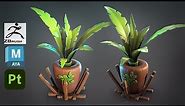 Making a Stylized Palm Plant Tree with Maya, Zbrush, and Substance 3D Painter