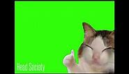 Animated Thumbs Up Crying Cat (green screen) (template)