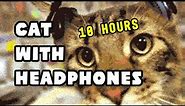 Cat With Headphones 10 Hours