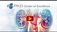 What Causes Polycystic Kidney Disease (PKD)?