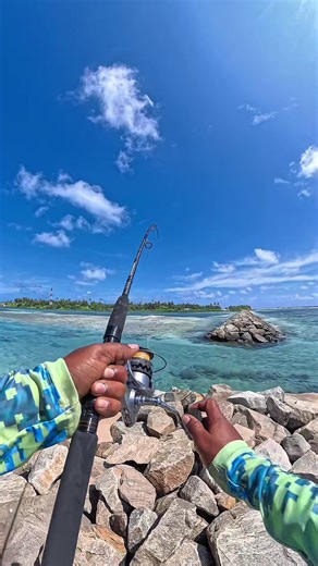 Bluefin Fishing Adventures: Life of a Fisherman