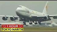 1 Hour of Plane Spotting at TOKYO NARITA (1999)