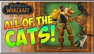 WoW Classic | Cat Companion-Pet Guide | No BS Guides