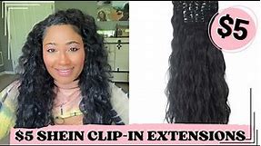 $5 Shein Clip-In Hair Extensions on Natural Hair