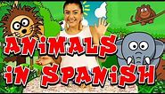 Wild Animals In Spanish | Language Learners