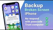 How to Backup Broken Screen iPhone with Passcode and Trust Computer