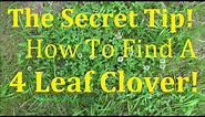 The Secret to Finding 4 Leaf Clovers! How to Find Them!
