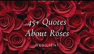 45+ Inspirational Rose Quotes | Inspirational Quotes About Roses