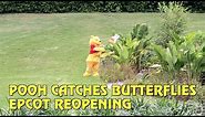 Winnie the Pooh Tries to Catch Butterflies at Epcot