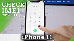 How to Check IMEI Number in iPhone 11 - Find APPLE Serial Number