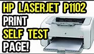 Hp LaserJet P1102 Print Self Test Page