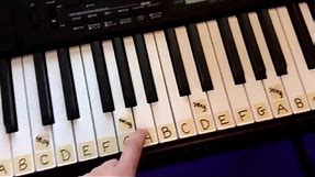 How to Label a 61 Key Keyboard Piano!