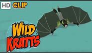 Wild Kratts - Follow That Bat