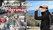 Hiking a Sacred Pilgrimage in Japan! ll Kumano Kodo ll Tanabe City, Wakayama~