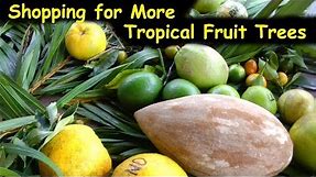 Visiting a Huge Hawaiian Tropical Fruit Tree Nursery