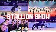 The KFPS stallion show 2024 | With an amazing champion | Best of the world | Friesian Horses