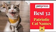 🐈 Best 32 Patriotic Cat Names For Your Brave Kitten 🐈 | PetPress