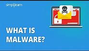 What Is Malware? | Malware Explained | What Is Malware And It's Types? | Malware Attack |Simplilearn