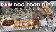Raw Dog Food Diet for Pitbulls and Bully’s (how to get started)