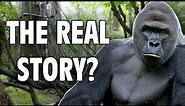 Harambe: The Real Story - Internet Hall of Fame