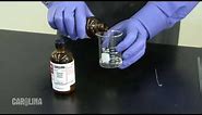 Nylon Synthesis Chemistry Demo