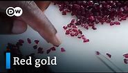 Mozambique's rubies: A blessing or a curse? | DW Documentary