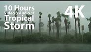 4K UHD 10 hours - Tropical Storm window for ambience - relaxation, meditation, nature