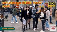 4k hdr japan travel 2024 l Walk in anime paradise Akihabara (秋葉原) Tokyo japan | Relaxing ambience