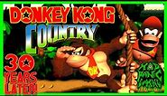 Donkey Kong Country 30 YEARS LATER!